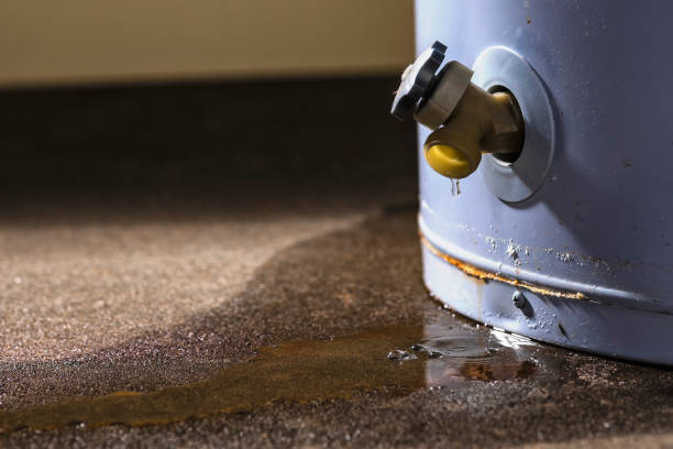 Best Flood restoration services  in Forsyth, MT