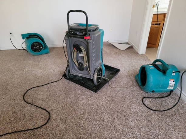 Best Water damage restoration near me  in Forsyth, MT