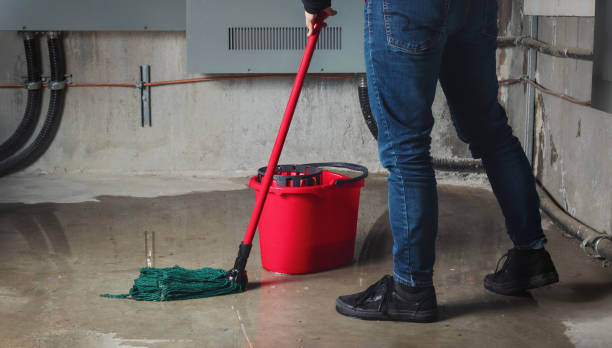 Best Mold removal after water damage  in Forsyth, MT