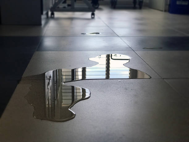 Best 24/7 water damage repair  in Forsyth, MT