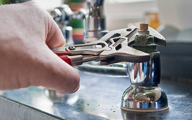 Best Local water damage restoration  in Forsyth, MT