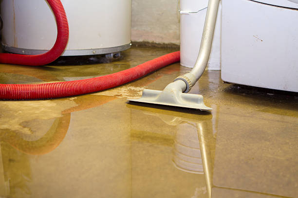 Best Ceiling water damage repair  in Forsyth, MT