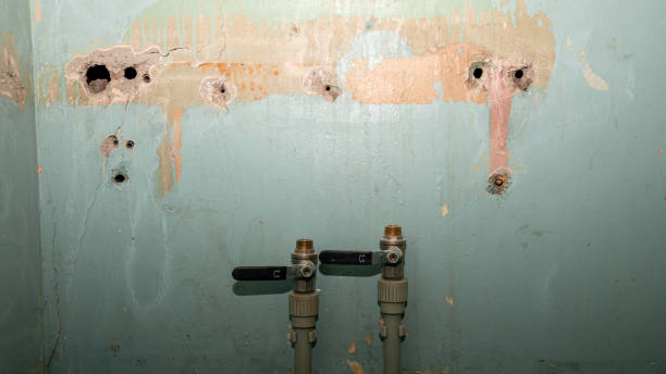 Water damage restoration mold remediation in Forsyth, MT