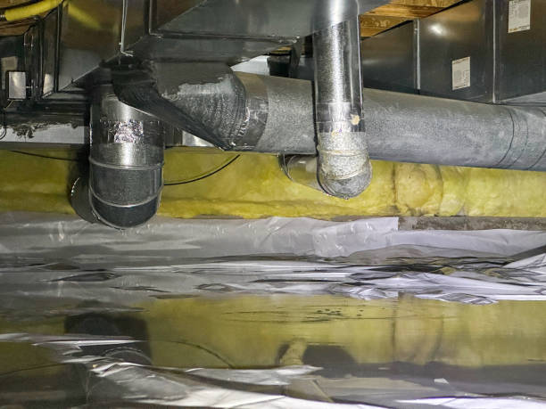 Best Water damage restoration near me  in Forsyth, MT